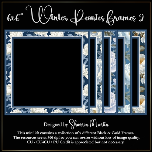 6x6 Winter Peonies Frames 2 - x5 in PNG