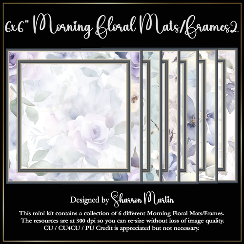 6x6 Morning Florals 2 Mats/Frames - x6 PNG