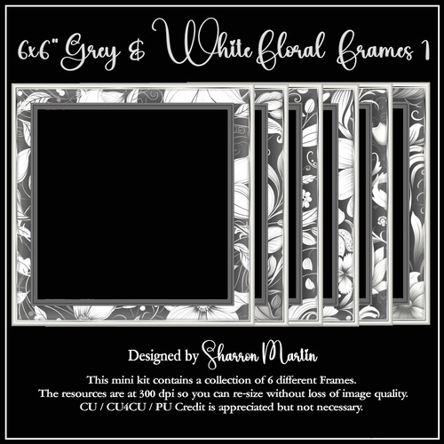 6x6 Grey & White Floral Frames 1-6 in PNG
