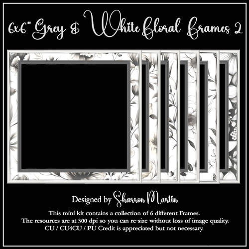 6x6 Grey & White Floral Frames 7-12 in PNG