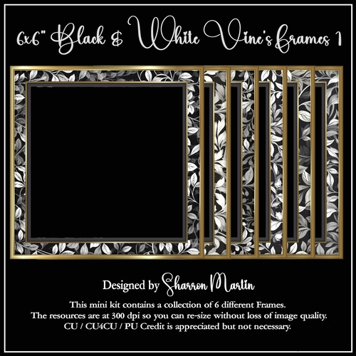 6x6 Black & White Vine Frames 1-6 in PNG