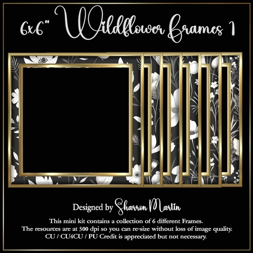 6x6 Wildflowers 1 Frames in PNG 