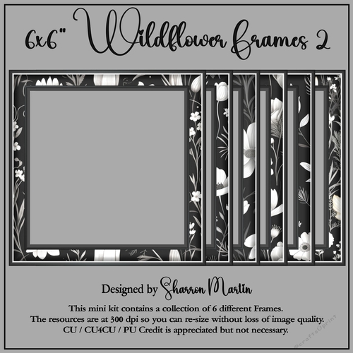 6x6 Wildflowers 2 Frames in PNG 