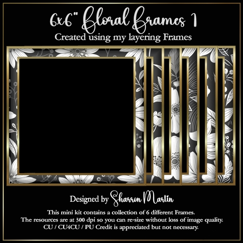 6x6 Floral Frames 1-6 in PNG