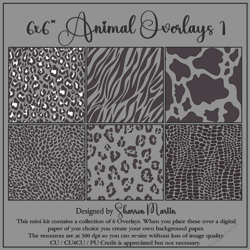 6x6 Animal Overlays 1-6 in PNG