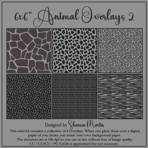 6x6 Animal 2 Overlays 7-12 in PNG