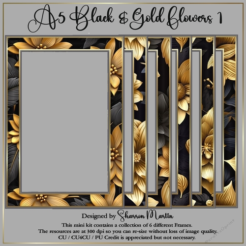 A5 Black & Gold Flowers Frames 7-12 PNG 