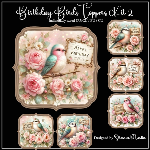 Birthday Birds Toppers/Frames 7-14 in PNG CU4CU/CU/PU