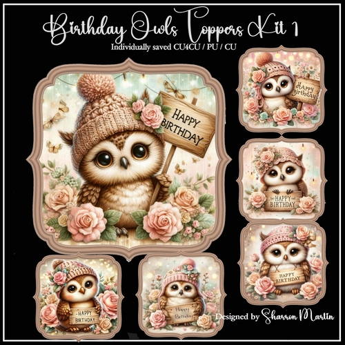 Birthday Owls Toppers/Frames 1-6 in PNG CU4CU/CU/PU