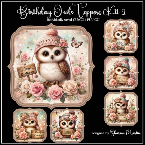 Birthday Owls Toppers/Frames 7-12 in PNG CU4CU/CU/PU