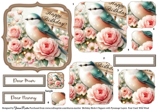 Birthday Birds 6 Toppers/Frames x6 Layers Pyramage, and Sentiments CU4CU/PU/CU