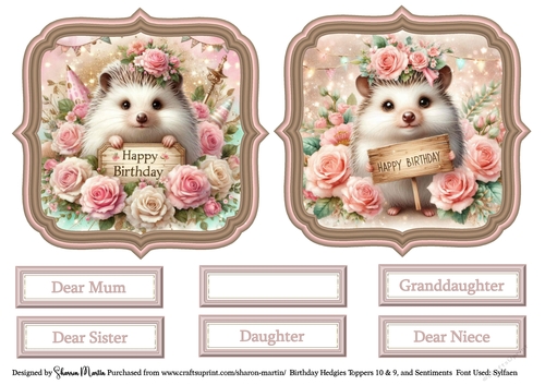 Birthday Hedgies 10 & 9 Toppers with Sentiments CU4CU/PU/CU