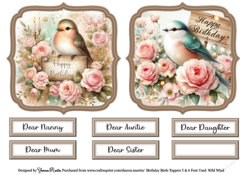 Birthday Birds Toppers 5 & 6 with Sentiments CU4CU/PU/CU