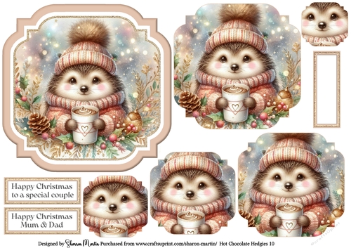 Hot Chocolate Hedgies 10 Topper, Pyramage and Sentiments