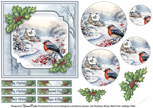 6x6 Christmas Winter Birds 1 - Card Front, Circle Pyramage, Sentiments & Decoupage 