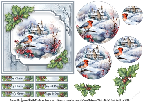 6x6 Christmas Winter Birds 2 - Card Front, Circle Pyramage, Sentiments & Decoupage 