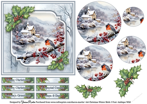 6x6 Christmas Winter Birds 3 - Card Front, Circle Pyramage, Sentiments & Decoupage 