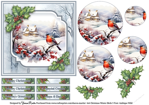 6x6 Christmas Winter Birds 5 - Card Front, Circle Pyramage, Sentiments & Decoupage 