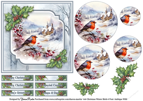 6x6 Christmas Winter Birds 6 - Card Front, Circle Pyramage, Sentiments & Decoupage 