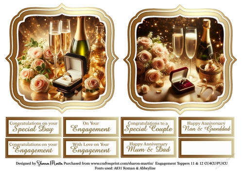 Large Toppers Engagement 11 & 12 with Sentiments CU4CU/CU/PU