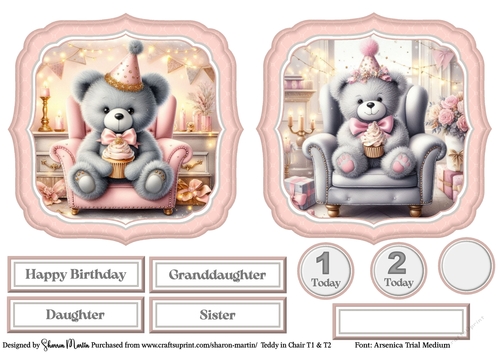 Teddy in Chair Large Toppers 1 & 2, Sentiments and ages CU4CU/PU/CU