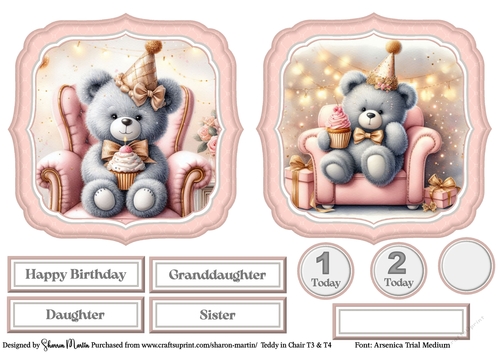 Teddy in Chair Large Toppers 3 & 4, Sentiments and ages CU4CU/PU/CU