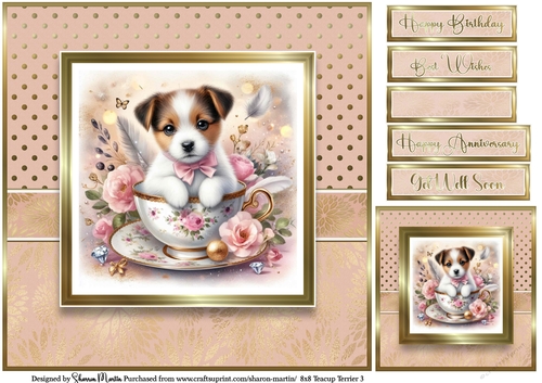 8x8 Teacup Terriers 3