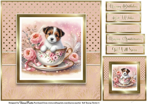 8x8 Teacup Terriers 6