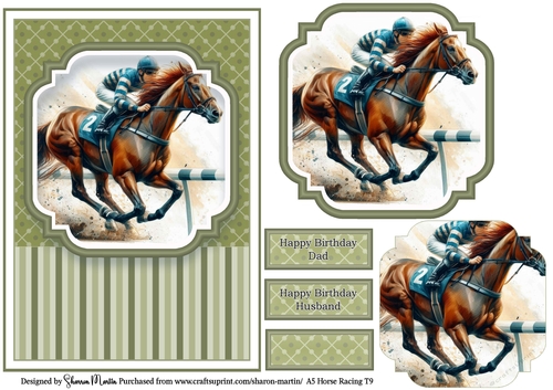 A5 Horse Racing 9