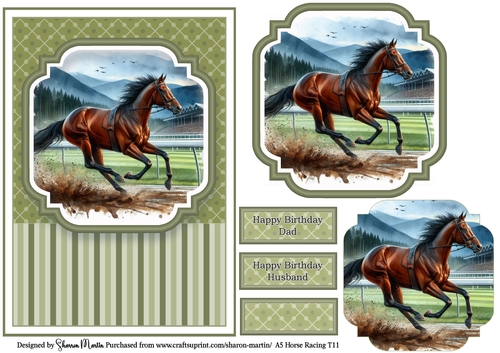 A5 Horse Racing 11