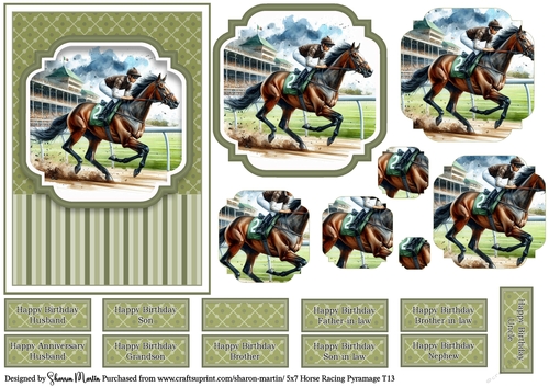 5x7 Horse Racing T13
