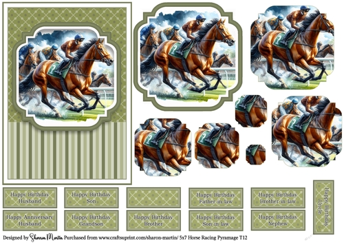 5x7 Horse Racing T12