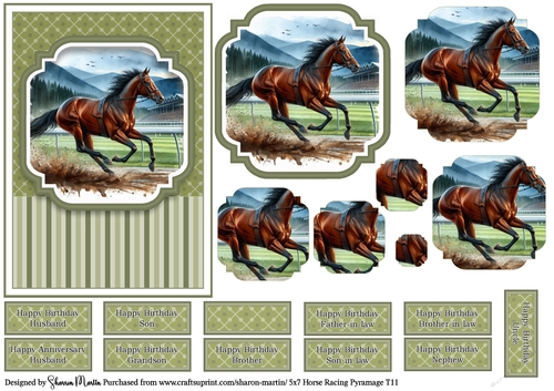 5x7 Horse Racing T11