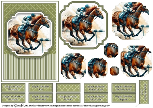 5x7 Horse Racing T9