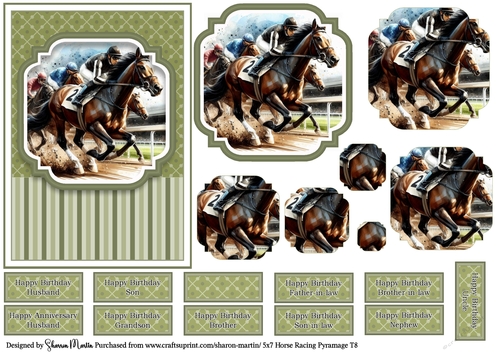 5x7 Horse Racing T8