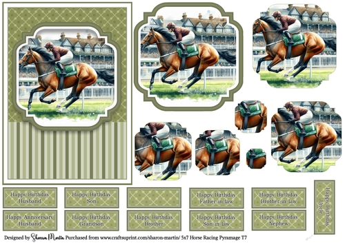 5x7 Horse Racing T7