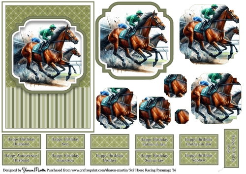 5x7 Horse Racing T6