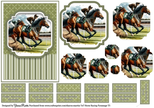 5x7 Horse Racing T5