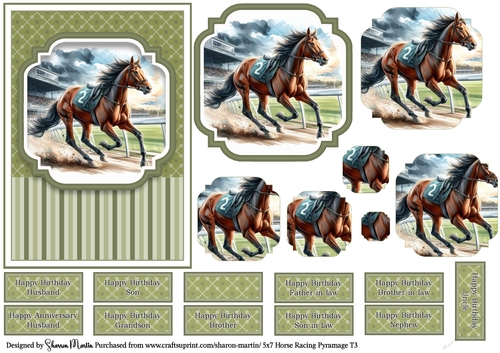 5x7 Horse Racing T3