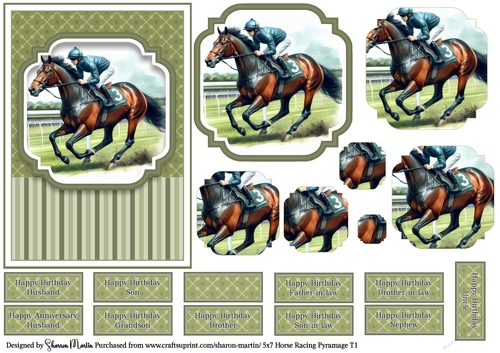 5x7 Horse Racing T1
