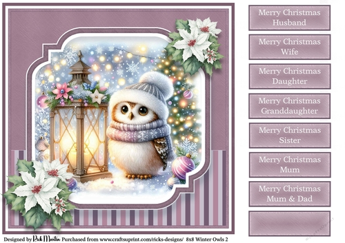 8x8 Winter Owls 2
