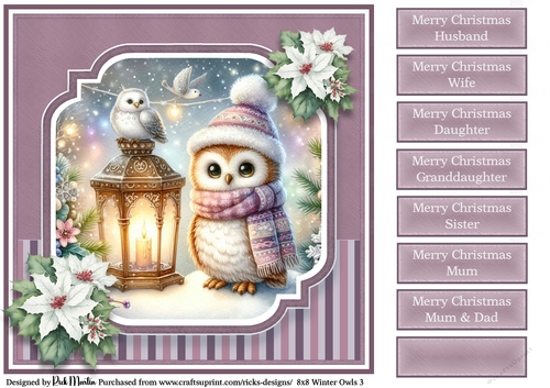 8x8 Winter Owls 3