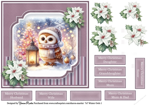 7x7 Winter Owls 1
