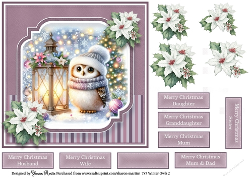 7x7 Winter Owls 2