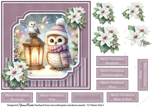7x7 Winter Owls 3