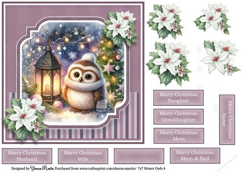 7x7 Winter Owls 4