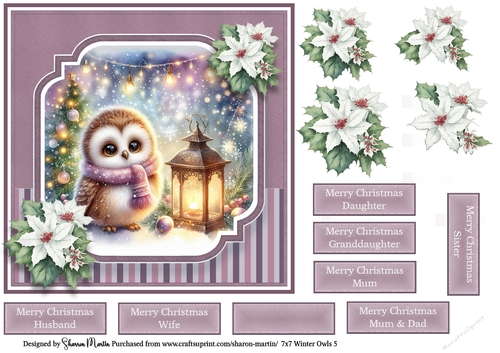 7x7 Winter Owls 5