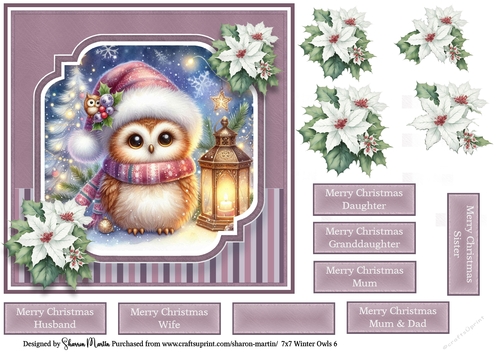 7x7 Winter Owls 6