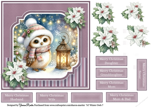 7x7 Winter Owls 7