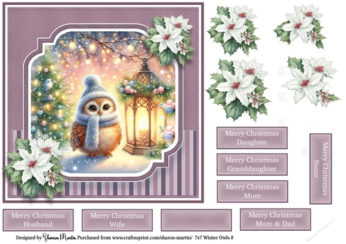 7x7 Winter Owls 8